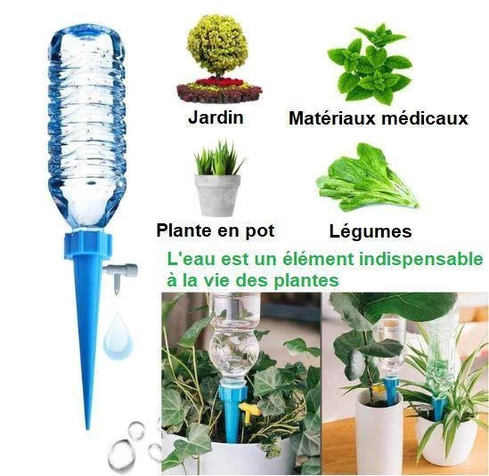Pics d'Arrosage Automatique (lot de 12) – Image 3