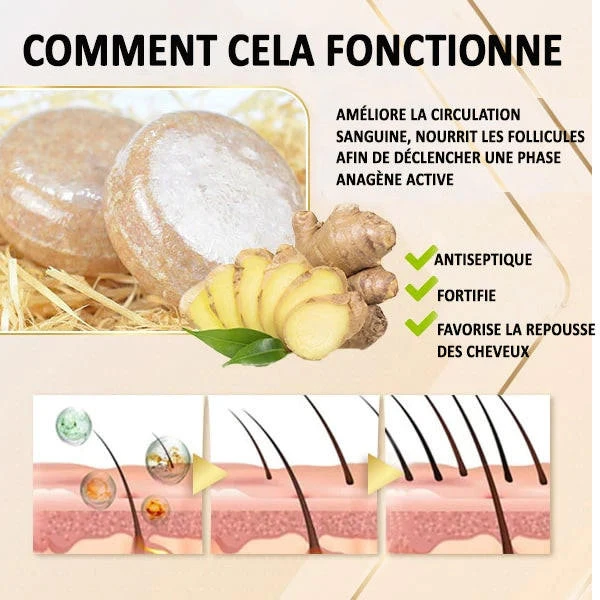 Shampoing Au Gingembre Pour La Pousse des Cheveux – Image 3