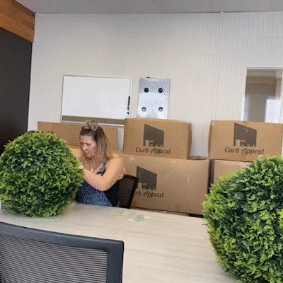 Boule de plante topiaire artificielle décorative en intérieur