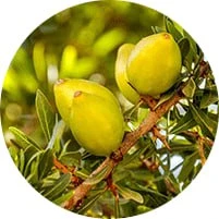 Bouteilles des cinq huiles naturelles composant la crème