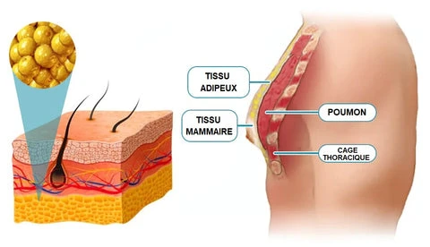 Détail tissu polymère et technologie infrarouge