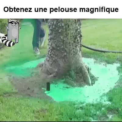 Application du liquide pulvérisateur sur pelouse abîmée