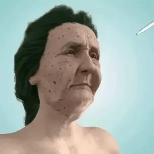 Présentation des ingrédients clés du sérum anti-âge