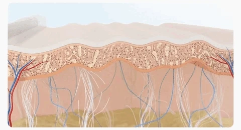 Illustration de l'acide hyaluronique hydratant intensément