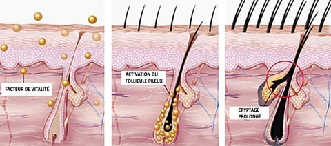 Cheveux doux et volumineux après utilisation du shampoing