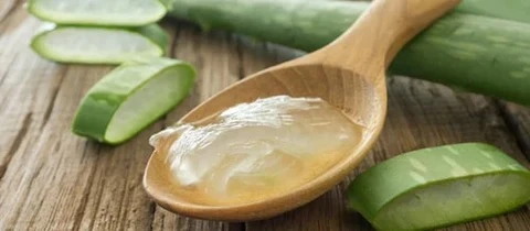 Feuilles d'aloe vera pour apaiser le cuir chevelu