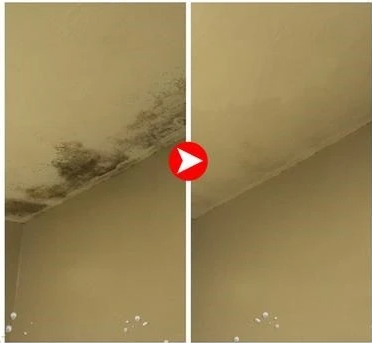 application précise du spray sur fissure