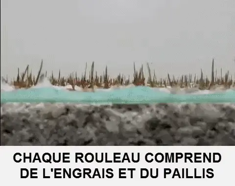 gros plan sur tapis de semences biodégradable avec graines