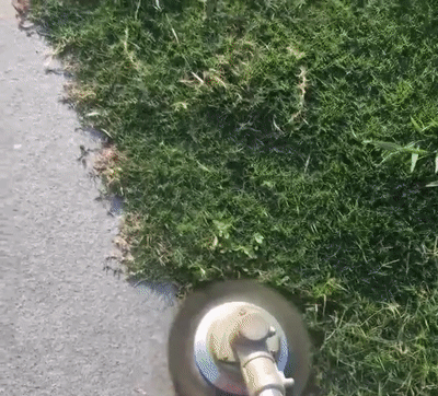 Tête Brosse Désherbage en fil d'acier pour débroussailleuse